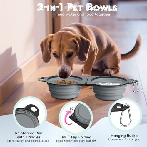 Hund frisst aus zusammenklappbaren Futternäpfen