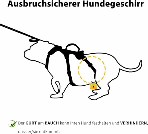 Diagramm eines Hundes mit Geschirr, das einen Sicherheitsgurt zeigt.
