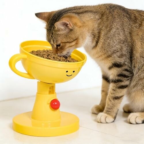 Katze isst aus einem gelben Napf.