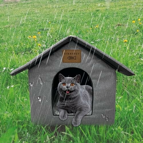 Katze in einem kleinen Haus im Regen
