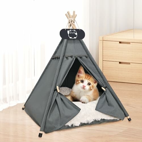 Kätzchen in einem grauen Tipi-Zelt