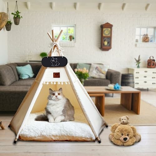 Katze in einem Tipi-Zelt im Wohnzimmer