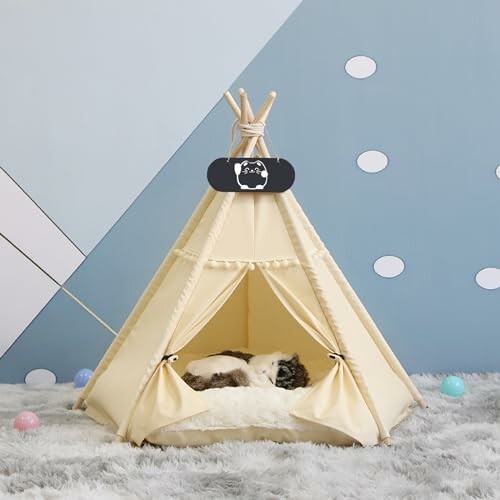 Katze schläft in einem kleinen Tipi-Zelt auf einem Teppich.