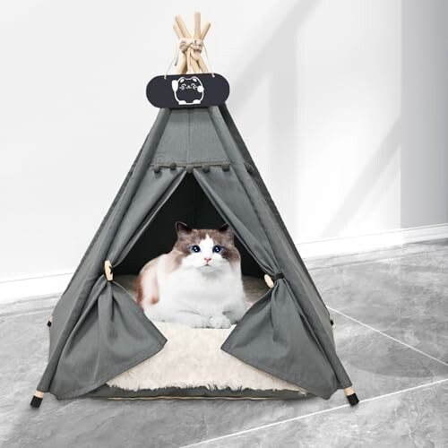 Katze in einem grauen Tipi-Zelt auf einem Kissen