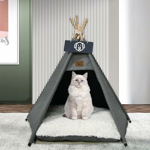 Katze sitzt in einem grauen Zelt