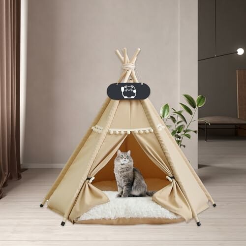 Katze in einem Tipi-Zelt