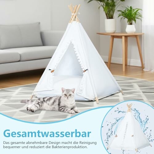 Katze in weißem Zelt im Wohnzimmer