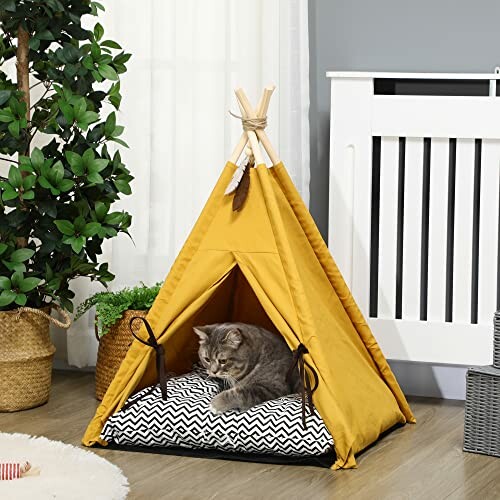 Katze in gelbem Zelt auf Kissen liegend