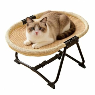 Katze liegt auf einem geflochtenen Stuhl.