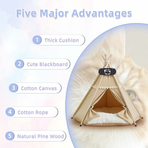 Katzentipi mit fünf Hauptvorteilen