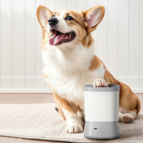 Corgi-Hund mit Pfote auf einem Gerät