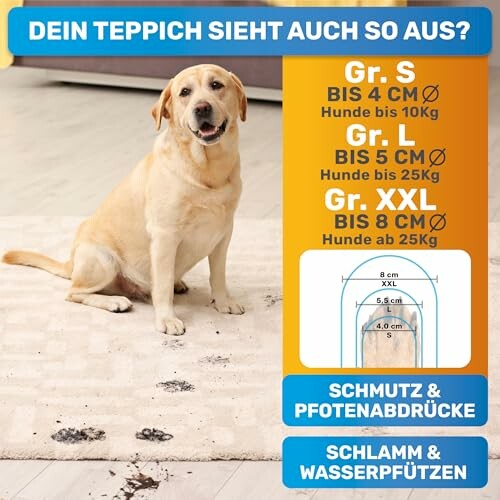 Hund auf schmutzigem Teppich mit Größeninformation für Hundematten.