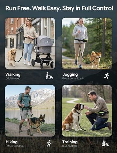 Vier Bilder von Menschen, die mit Hunden spazieren gehen, joggen, wandern und trainieren.