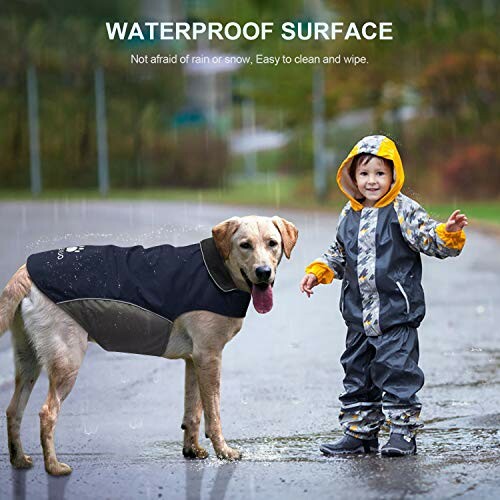 Kind und Hund in Regenkleidung auf nasser Straße