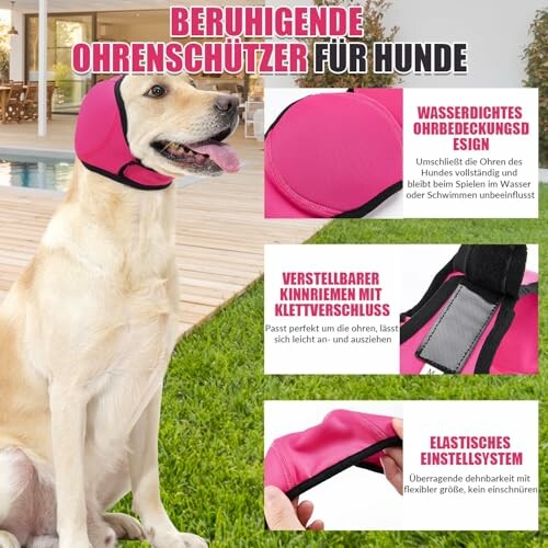 Hund mit beruhigenden Ohrenschützern