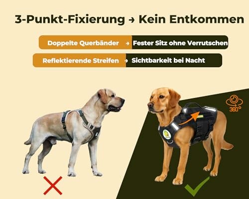 Vergleich von zwei Hundegeschirren mit 3-Punkt-Fixierung.