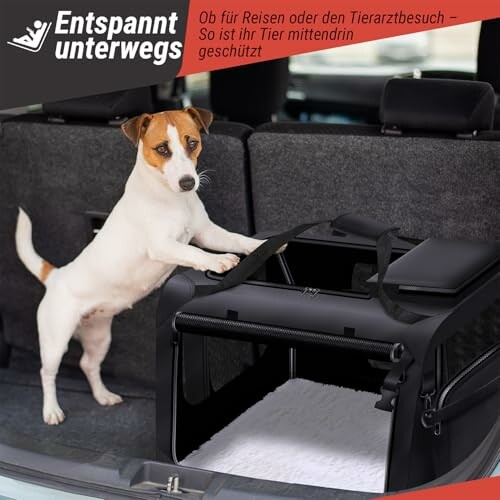 Hund steht im Auto neben einer Tragetasche.