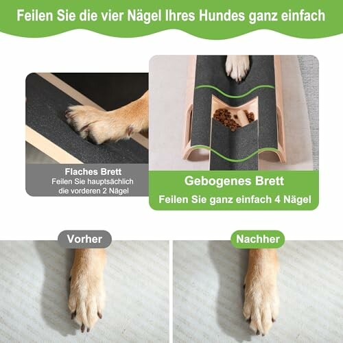 Hundepfoten vor und nach dem Feilen mit Brett.