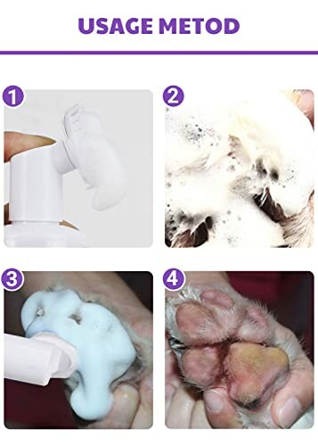 Schritte zur Reinigung einer Hundepfote mit Schaum.