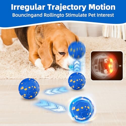 Hund spielt mit blauem Ball, unregelmäßige Bewegung