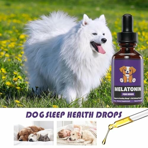 Beruhigende Tropfen für Haustiere