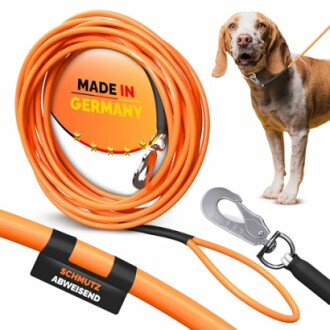 Hund mit langer orangefarbener Leine, hergestellt in Deutschland