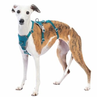 Huntboo Sicherheitsgeschirr