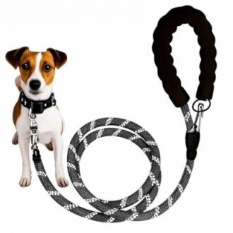 Hund mit schwarz-weißer Leine