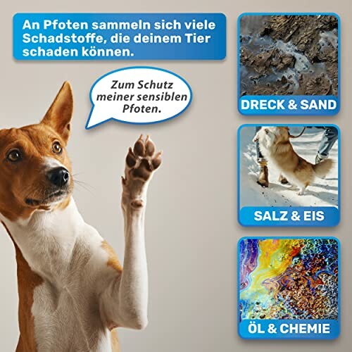 Hund hebt Pfote, Schadstoffe an Pfoten illustriert