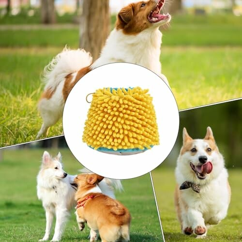 Hunde spielen im Freien mit einem gelben Spielzeug