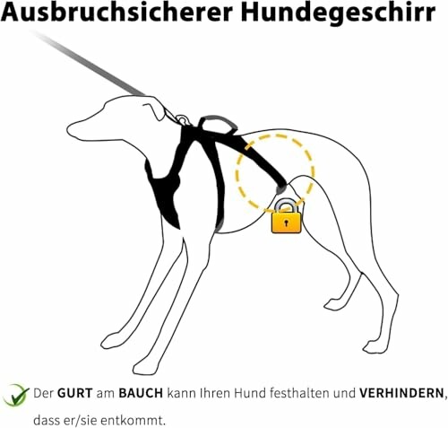 Illustration eines ausbruchssicheren Hundegeschirrs mit Schlosssymbol.