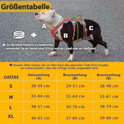 Huntboo Sicherheitsgeschirr Hund