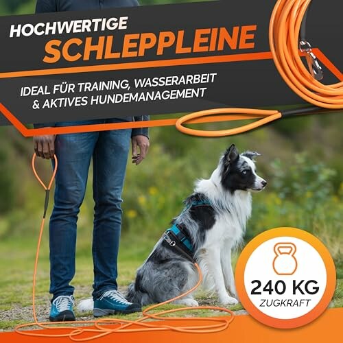 25m Schleppleine Hund