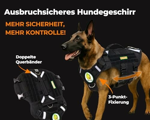 Hund mit sicherem Hundegeschirr und Beschriftungen