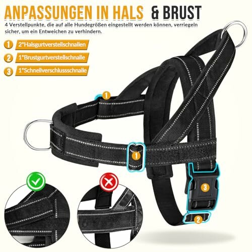 Verstellbares Hundegeschirr mit Schnallen.
