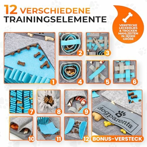 Zwölf verschiedene Trainingselemente für Hunde.