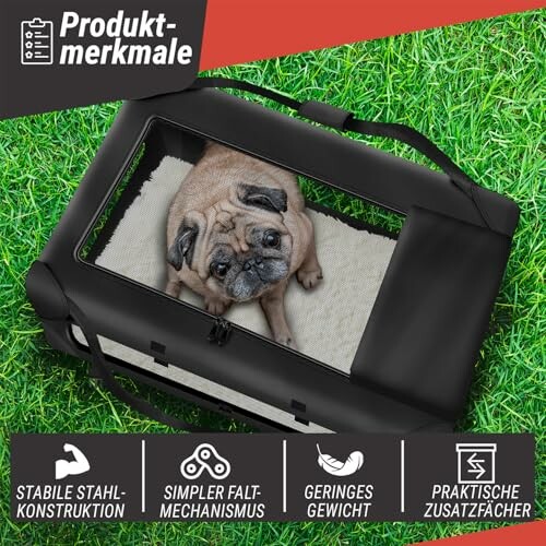 Mops in einer schwarzen Transportbox auf dem Rasen.