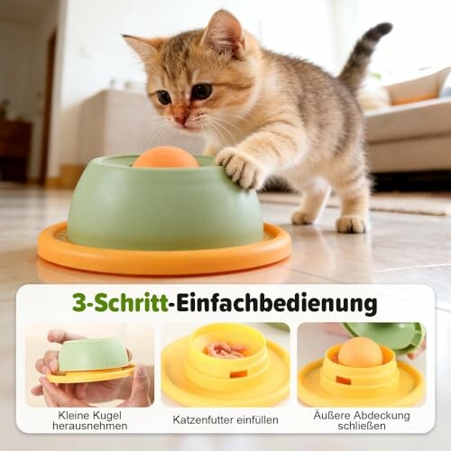 Kätzchen spielt mit einem Futterspielzeug.
