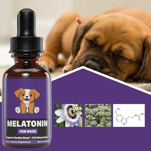 Melatonin-Ergänzung für Hunde