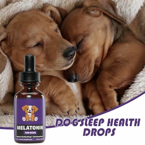 Zwei schlafende Welpen mit Melatonin-Tropfen für Hunde