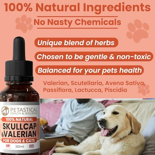 Natürliche Ergänzungsmittel für Hunde und Katzen.