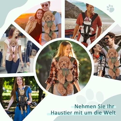 Menschen tragen Hunde in Rucksäcken