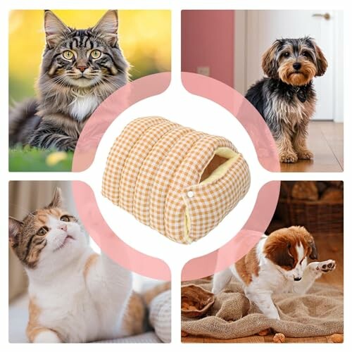 Collage mit Katzen, Hunden und einem Haustierbett