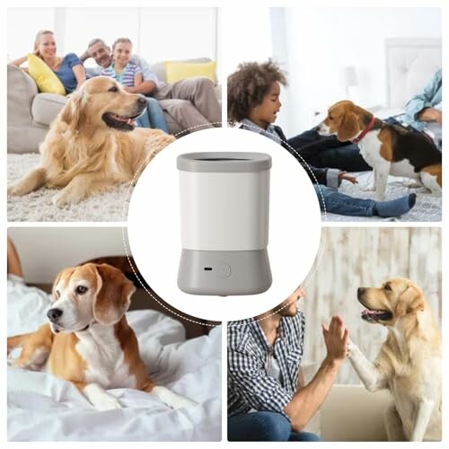 Collage von Familien mit Hunden und einem Luftreiniger in der Mitte.