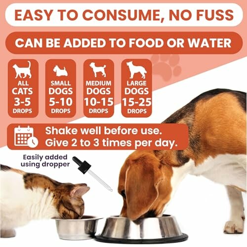 Zwei Hunde trinken aus Schüsseln mit Tropfenanleitung.