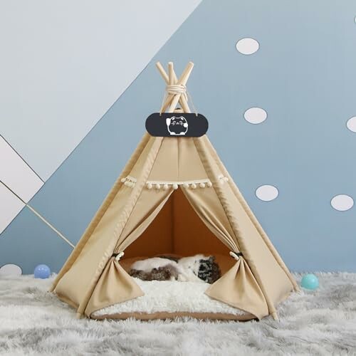 Hund schläft in einem Tipi-Zelt