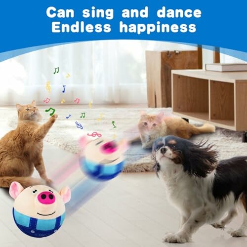 Katzen und Hund spielen mit interaktivem Ballspielzeug