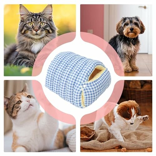 Collage von Haustieren und einem blauen karierten Haustierbett.