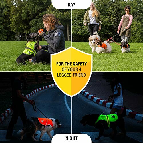 Hunde mit reflektierenden Westen bei Tag und Nacht