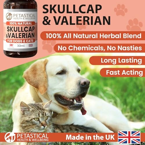 Skullcap Baldrian